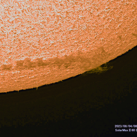 8月04日の太陽面
