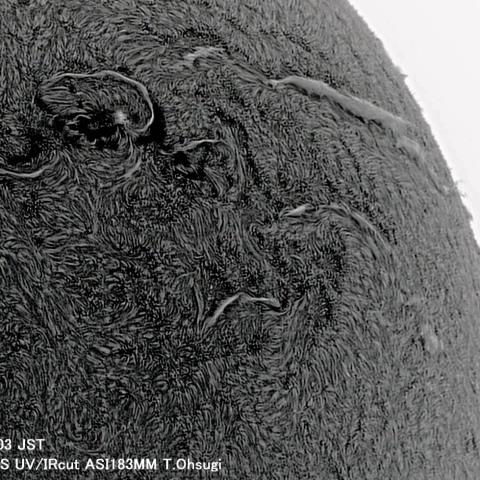 8月19日の太陽面