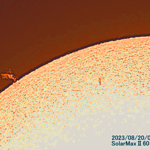 8月20日の太陽面