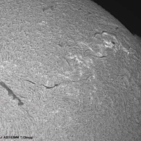 8月21日の太陽面