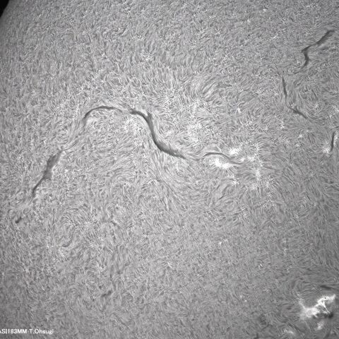 8月28日の太陽面