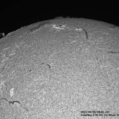9月3日の太陽面