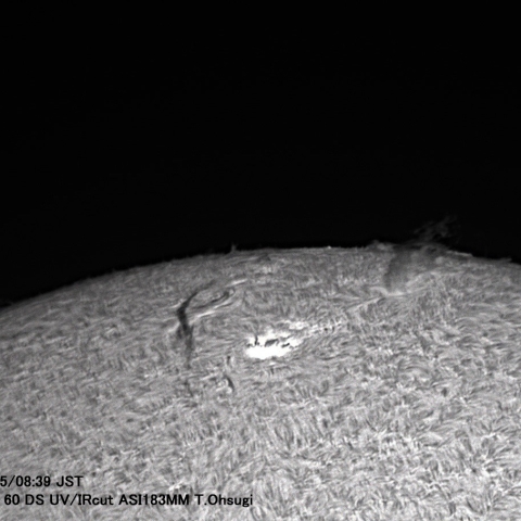 9月5日の太陽面