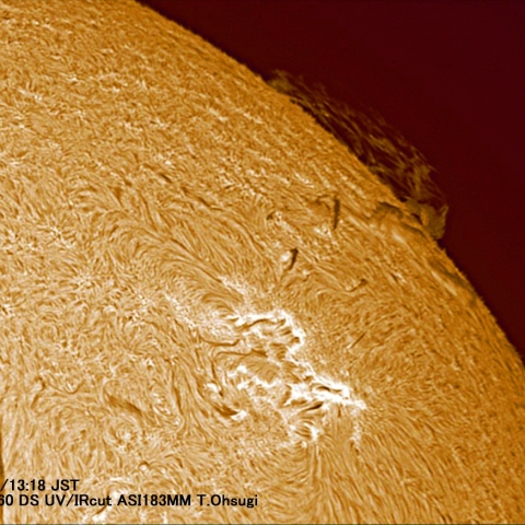 9月8日の太陽面