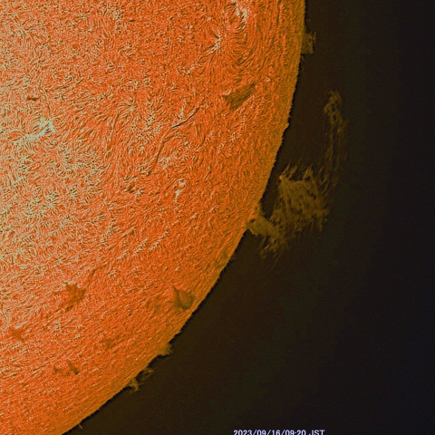 9月16日の太陽面