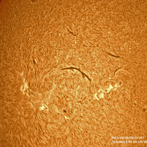 9月29日の太陽面