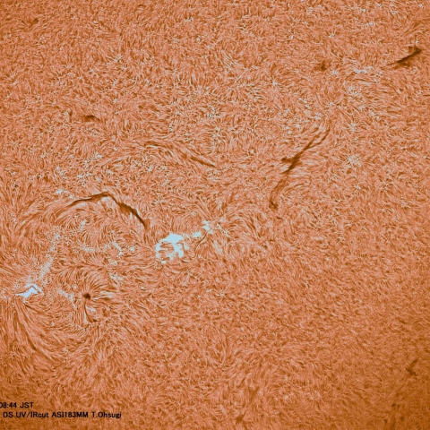 9月30日の太陽面