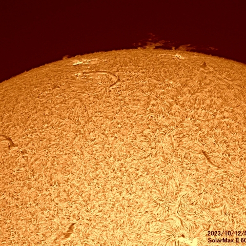 10月12日の太陽面