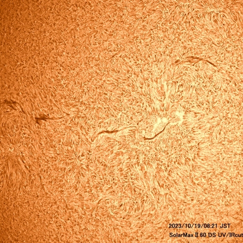 10月19日の太陽面