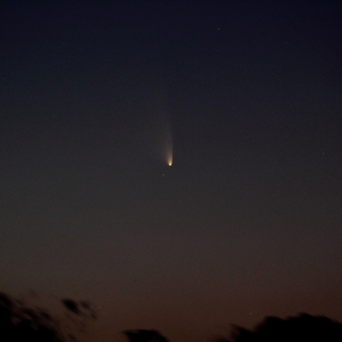 3月16日のパンスターズ彗星