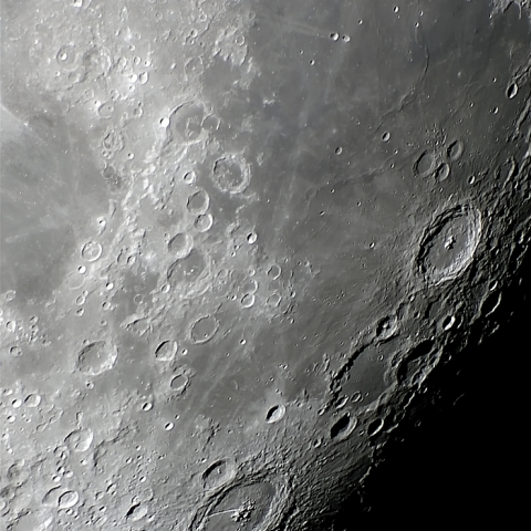 豊の海～ペタビウス