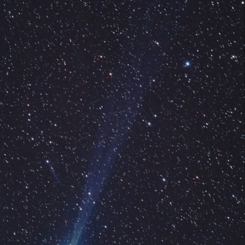 ラブジョイ彗星(C/2014 Q2) 2015.01.24