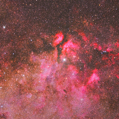 白鳥座γ星付近の散光星雲