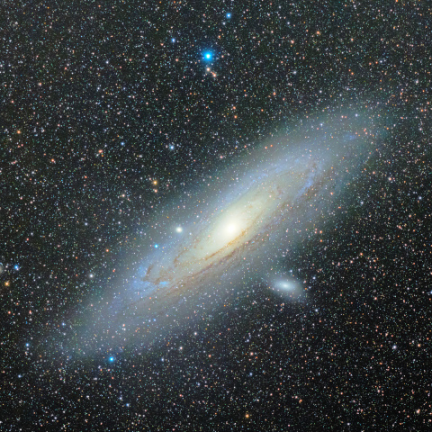 M31
