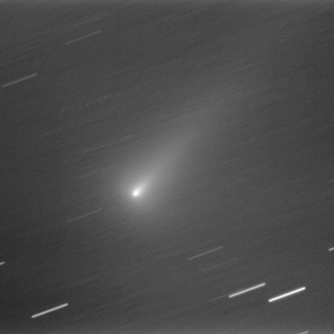 C/2021 A1 2021.11.28