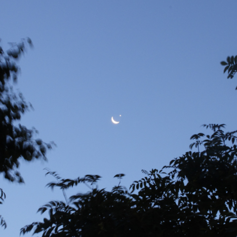 金星食〜出現時〜