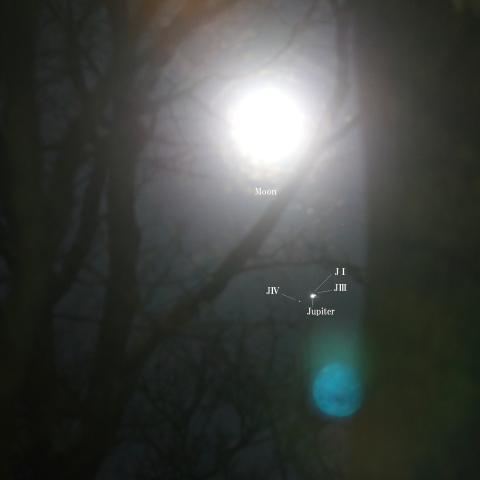樹間に見えた月と木星接近