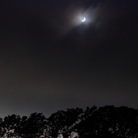 No2 ラッキーMoon