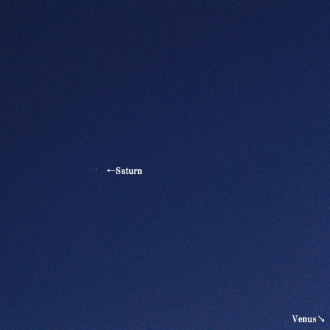1/4と入れ替わった細い月・土星・金星
