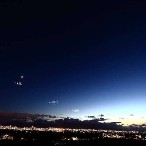 金星 東方最大角離角の前日