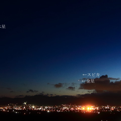 スピカ　金星に接近