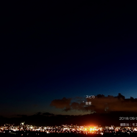 スピカ　金星に接近