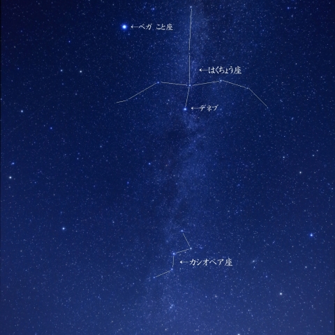 カシオペア座をバネに飛立つはくちょう座