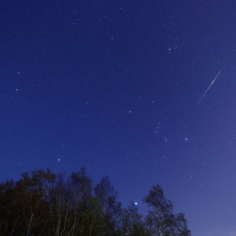 オリオン座流星