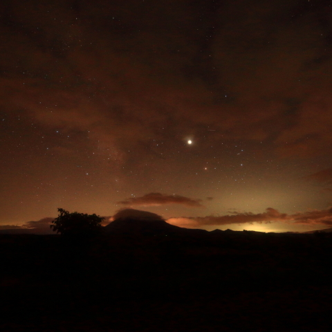 大きく撮れた木星