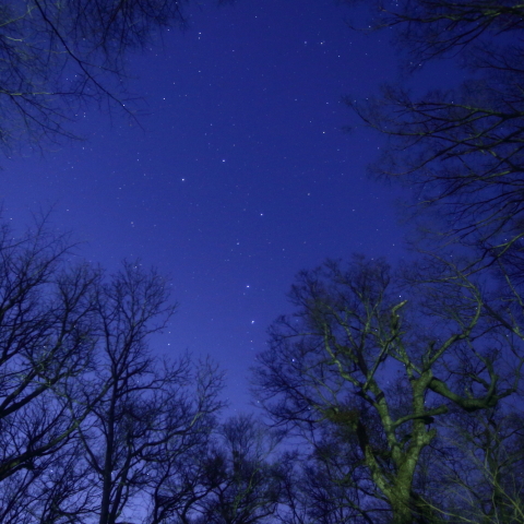 北斗七星と北極星