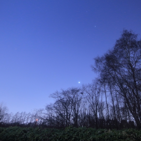 金星とプレアデス星団大接近