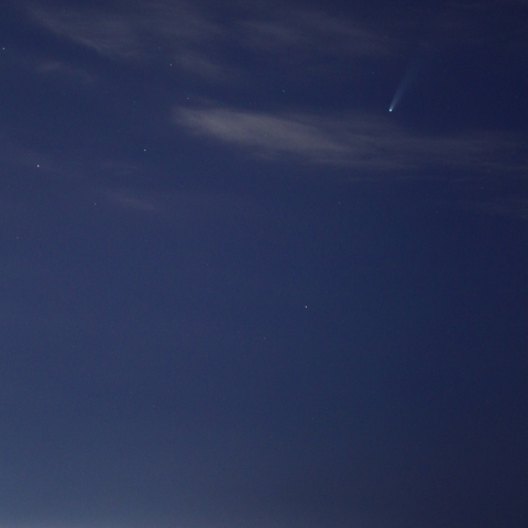 ネオワイズ彗星