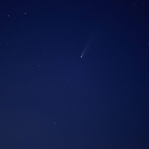 ネオワイズ彗星