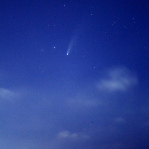 ネオワイズ彗星