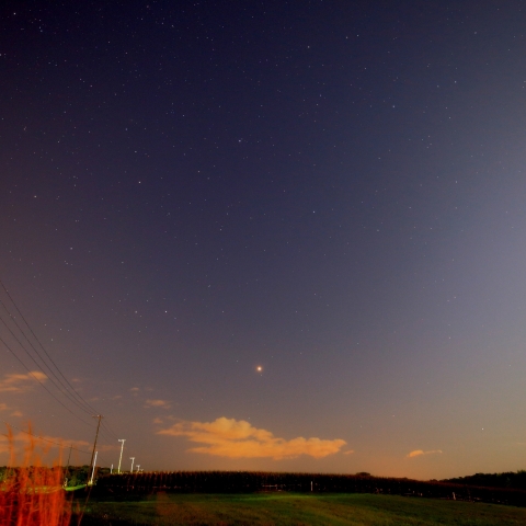紅い惑星火星とデントコーン畑