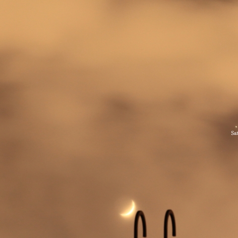 Tv1/6のワンチャンス！