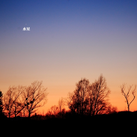 水星が東方最大離角