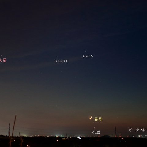 ビーナスに恋した若月　大接近