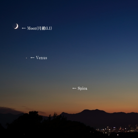 初秋の出合いと街灯り