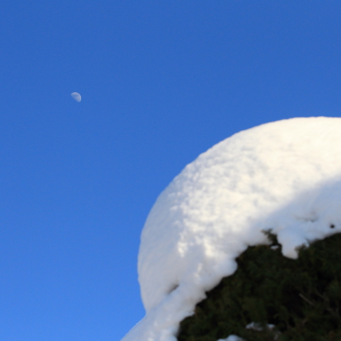 大雪後の白い月と雪まんじゅう