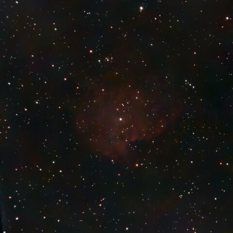 NGC2175 モンキー星雲