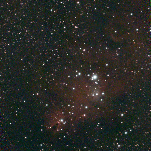 NGC2264 クリスマスツリー星団