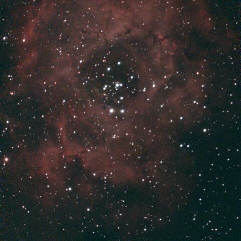 NGC2238 バラ星雲
