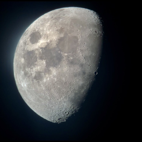 月　月齢9 2020/11/24