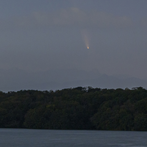 紫金山・アトラス彗星