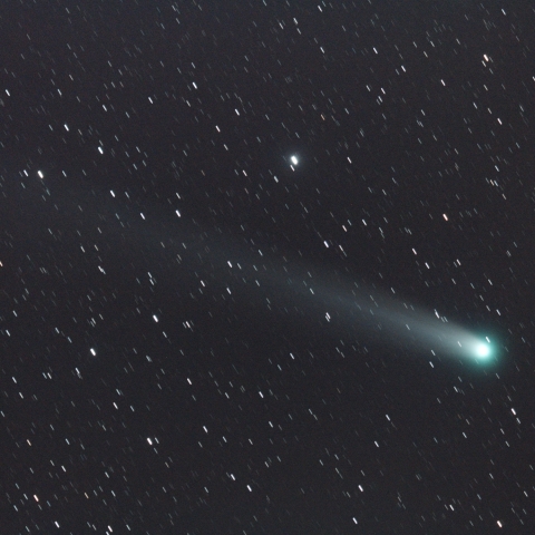 ラブジョイ彗星 (C/2013 R1)