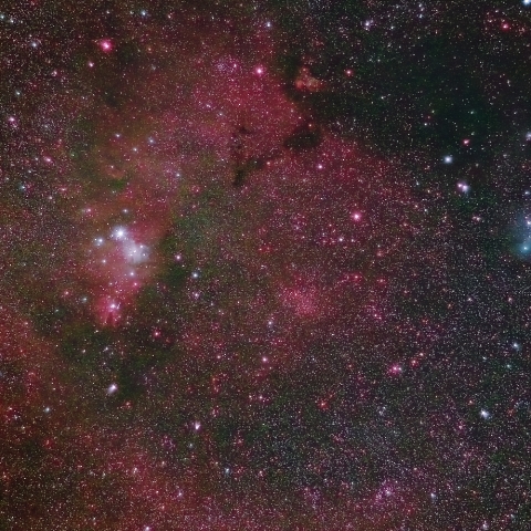 クリスマスツリー星団付近