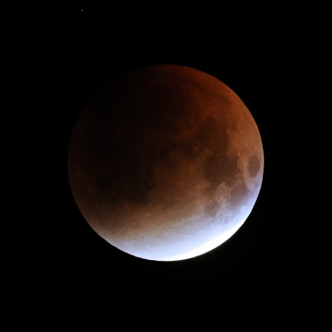 2025/9/8 月食（ターコイズフリンジ）