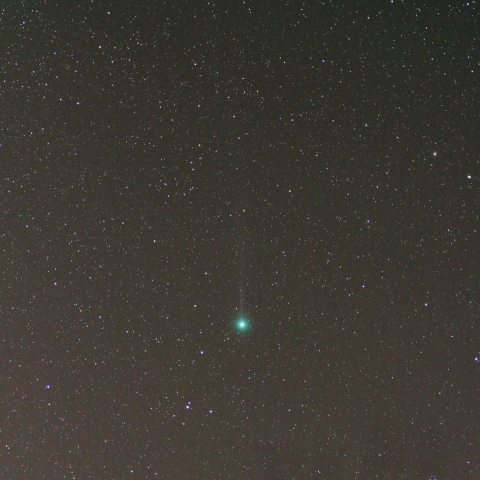 12/28ラブジョイ彗星