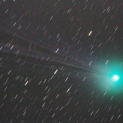 1/12ラブジョイ彗星